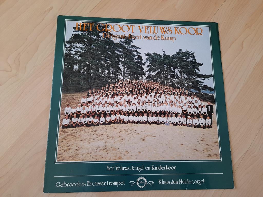 LP HET GROOT VELUWS KOOR, Cd's en Dvd's, Ophalen of Verzenden, Gebruikt, 12 inch