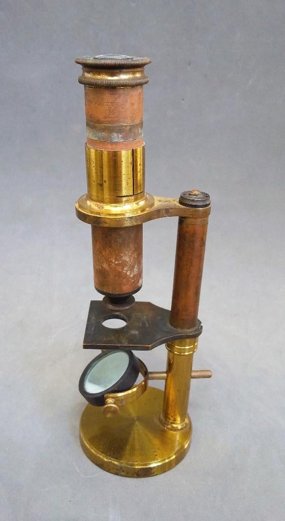 Om 1900-1920 Kleine Reis Microscoop Arts Bioloog Dierenarts