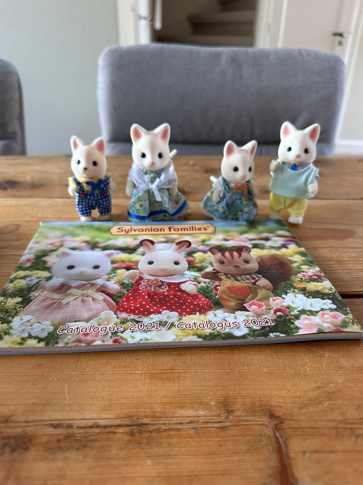 Sylvanian Families Kattenfamilie met 2021 Catalogus, Ophalen of Verzenden, Zo goed als nieuw