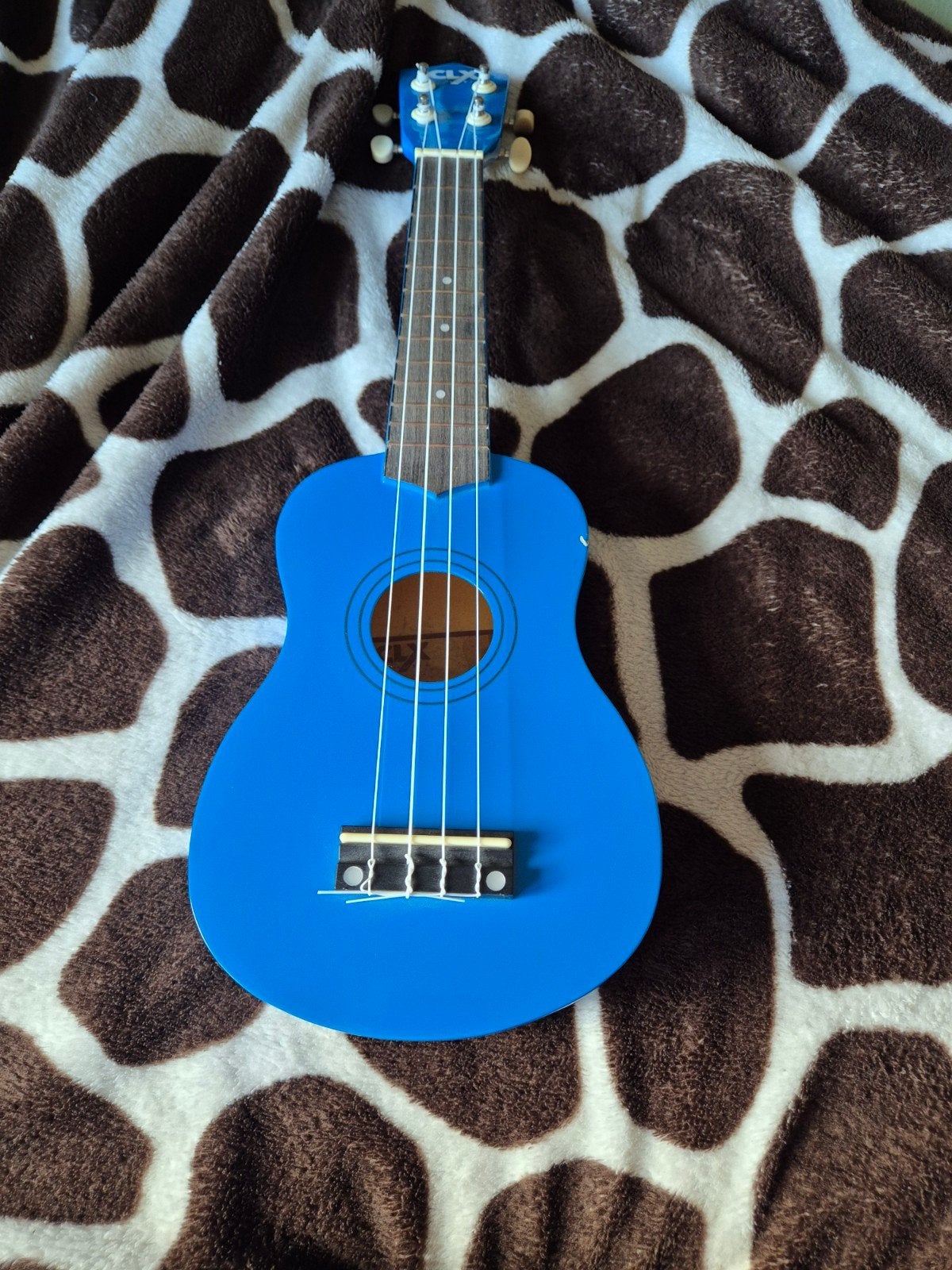 Blauwe kinderukelele met muurbeugel, Ophalen of Verzenden, Gebruikt, Ukelele
