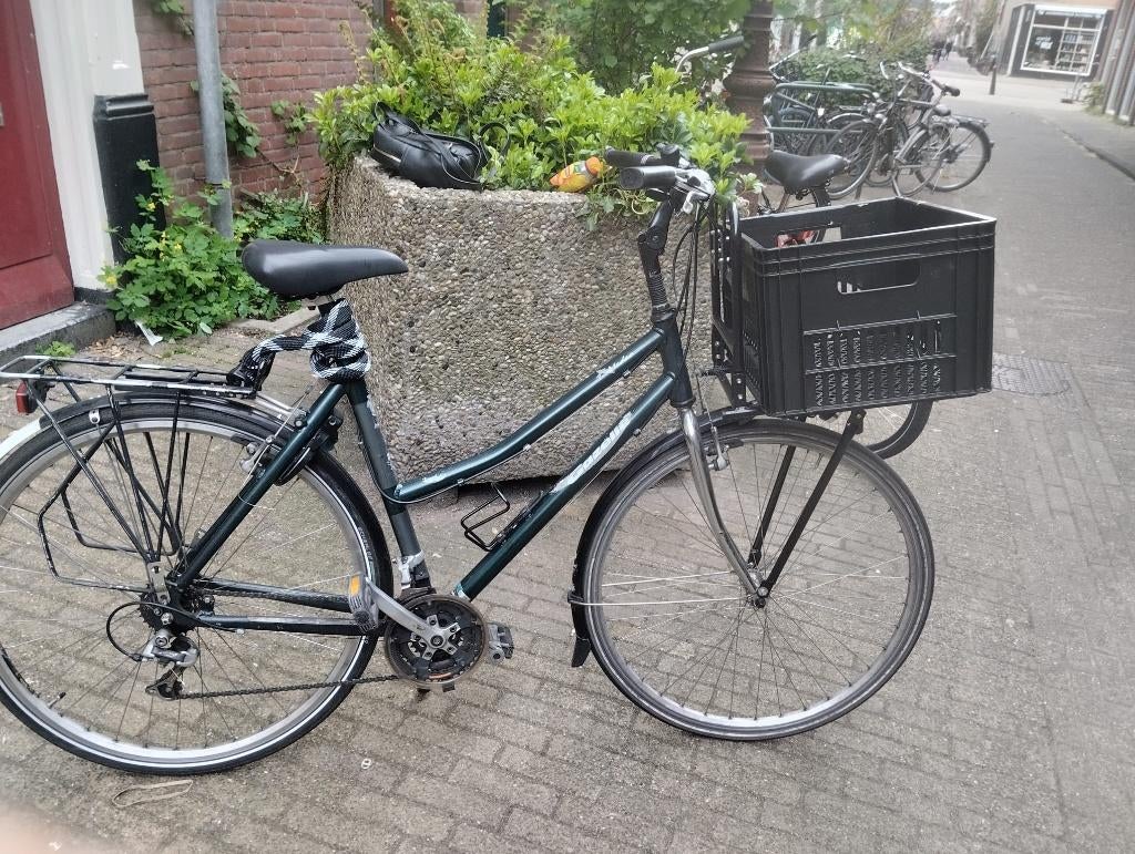 gazelle dames bike, 50 tot 53 cm, Ophalen of Verzenden, Zo goed als nieuw, Gazelle