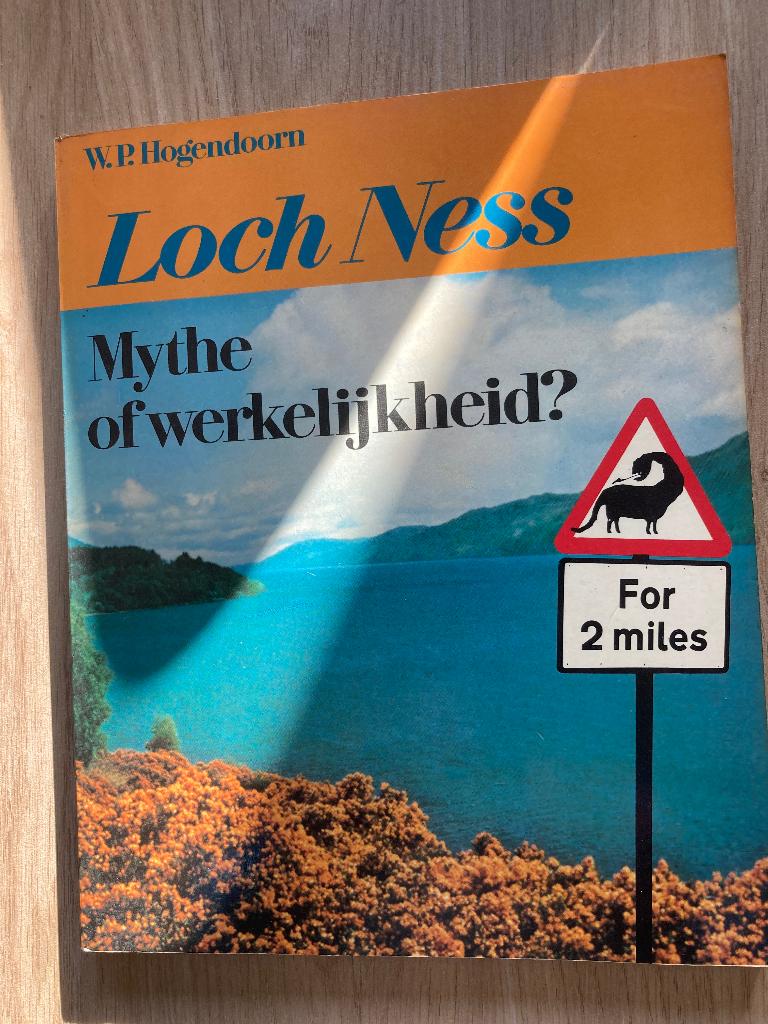 Boek W.P. Hogendoorn, Ophalen of Verzenden, Gelezen