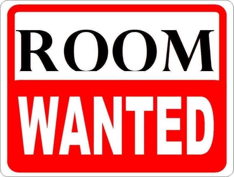 Gezocht: Kamer of Studio in Leiden, Huizen en Kamers