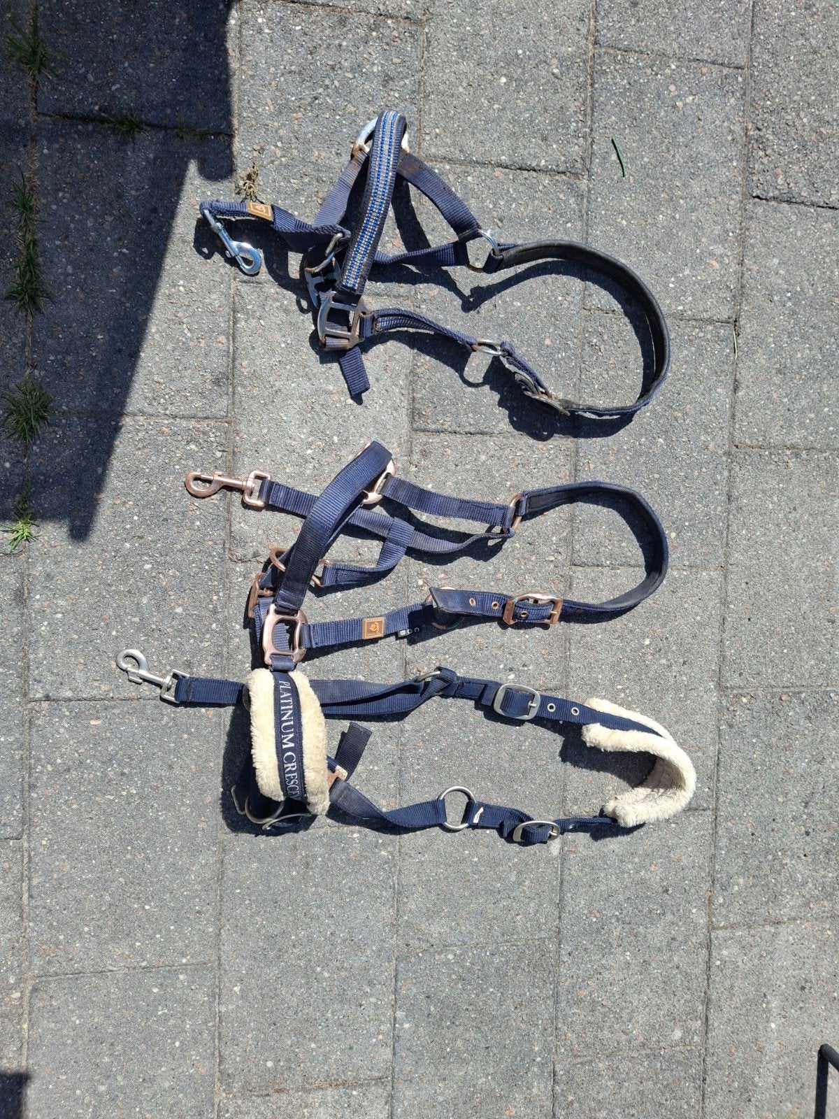 3 halsters mt cob, Ophalen of Verzenden