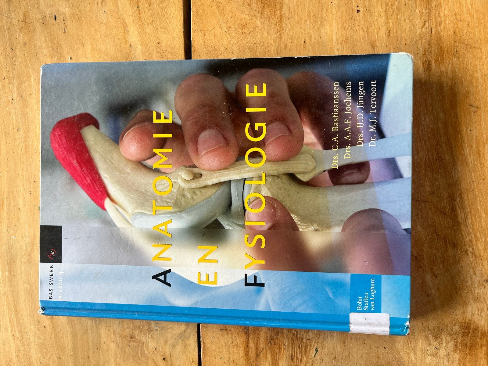 Anatomie en Fysiologie - Schoolboek, Ophalen of Verzenden, Beta, Gelezen, HBO