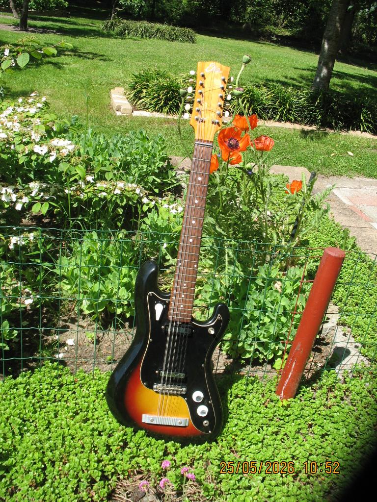 EKO Cobra 12snarig, Ophalen, Gebruikt, Solid body, Overige merken
