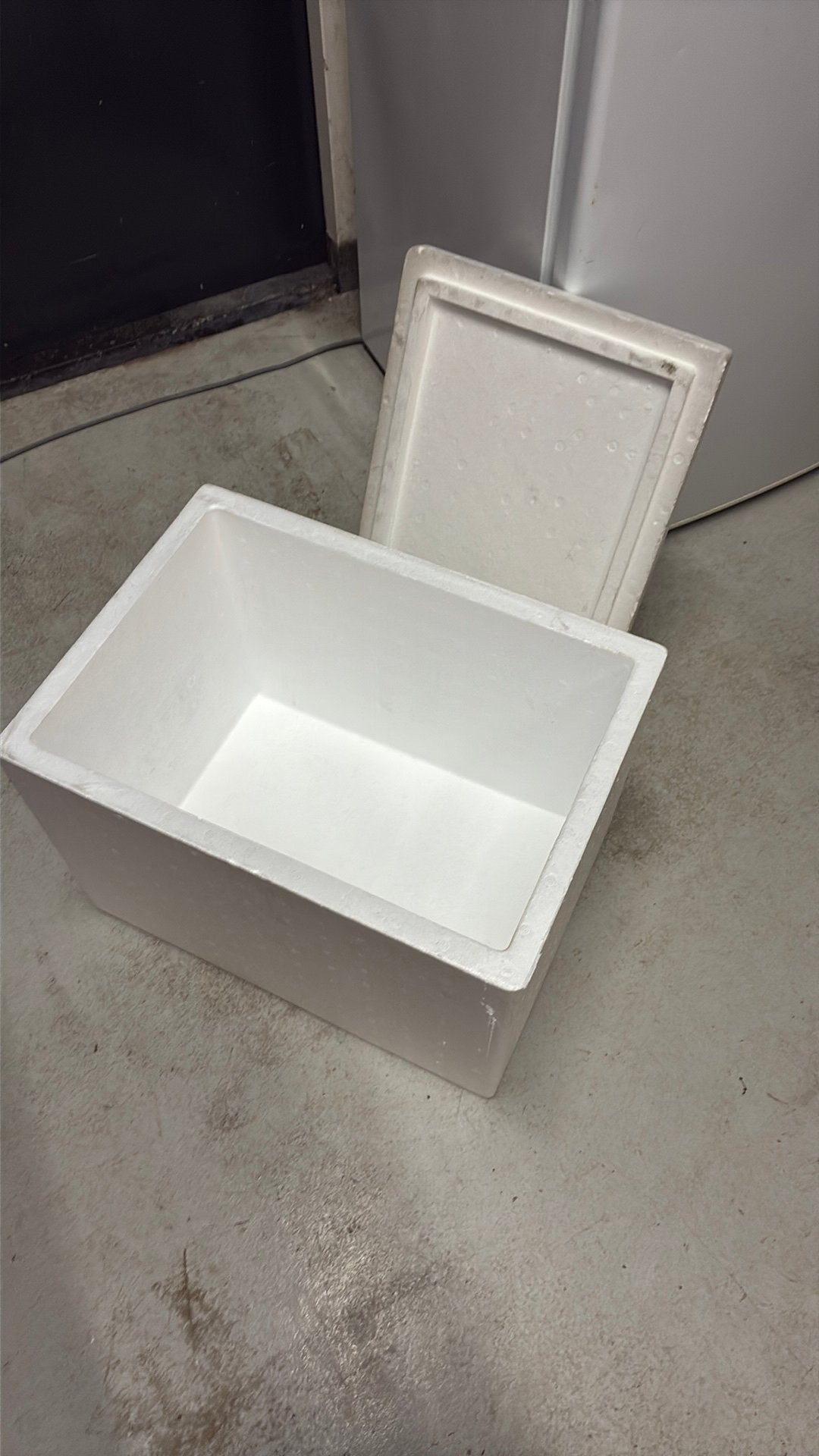 Tenpex doos eps box, Ophalen, Zo goed als nieuw, Koelbox