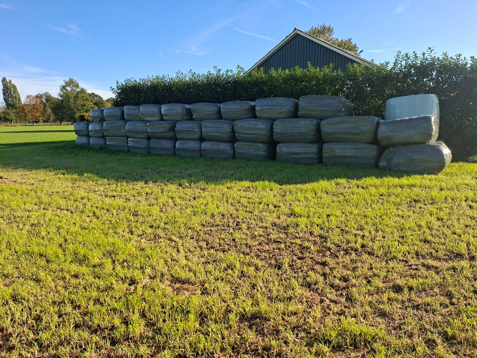 Vierkante balen nieuw ingezaaid grasland, onkruidvrij, Ophalen