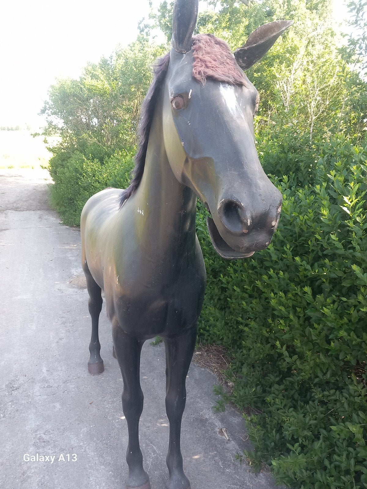 Polyester paard  levensgroot 250 cm hoog Eyecatcher!, Ophalen, Paard, Beeldje of Figuurtje
