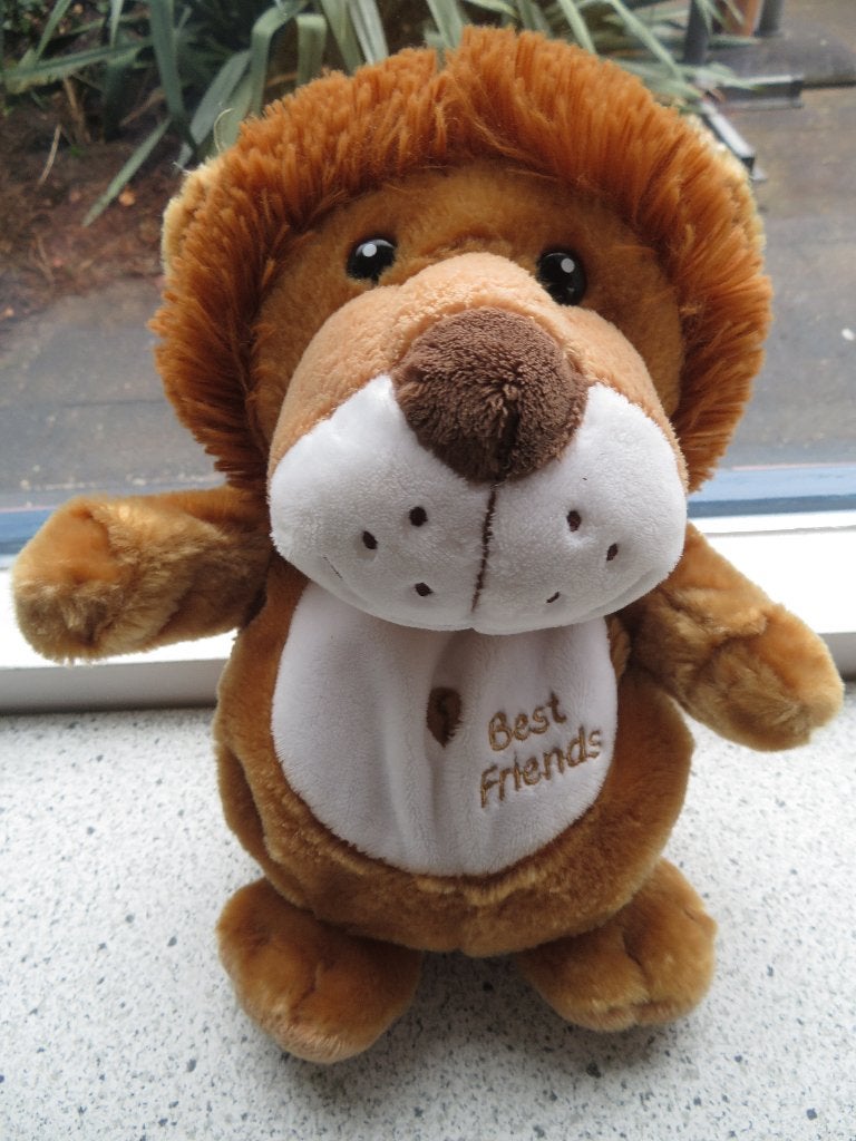 Handpop leeuw merk Best Friends van Nicotoy of Aldi, Kinderen en Baby's, Ophalen of Verzenden, Zo goed als nieuw, Wasbaar, Middelgroot (20 tot 80 cm)