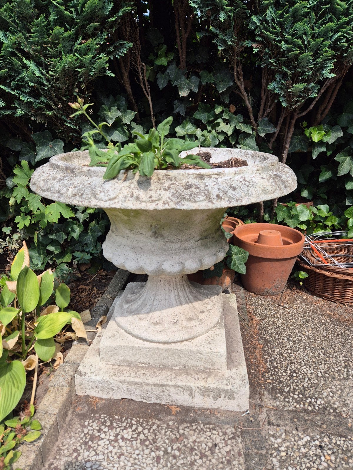 Grote stenen bloempot, 60 cm hoog en 60 cm doorsnee, Ophalen, Gebruikt, 40 cm of meer, Rond