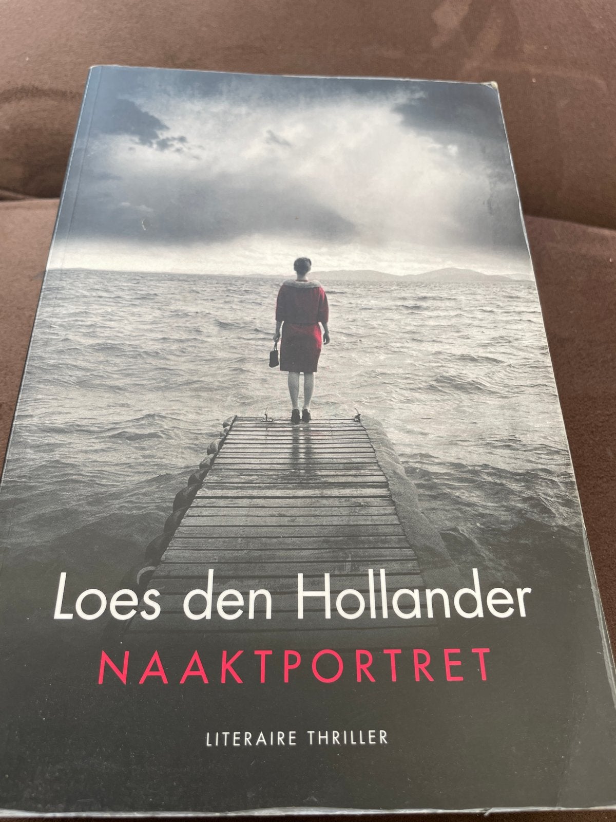 Loes den Hollander - Naaktportret (Literaire thriller), Ophalen of Verzenden, Gelezen, Nederland