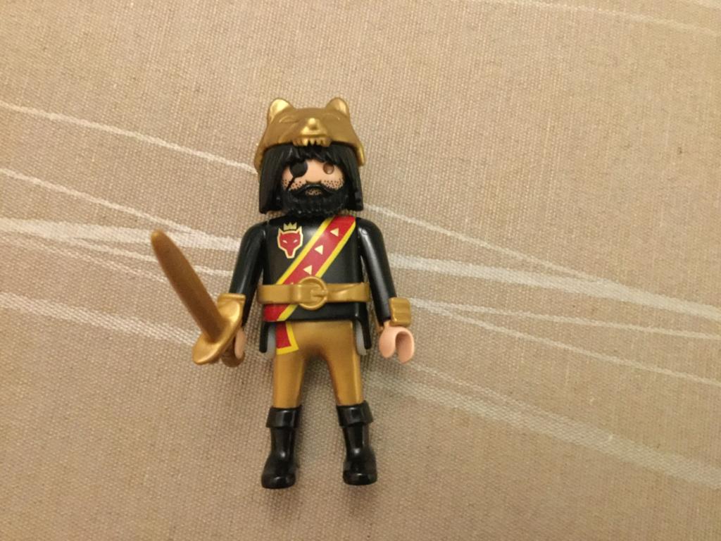 Playmobil wolvenridder., Ophalen of Verzenden, Zo goed als nieuw