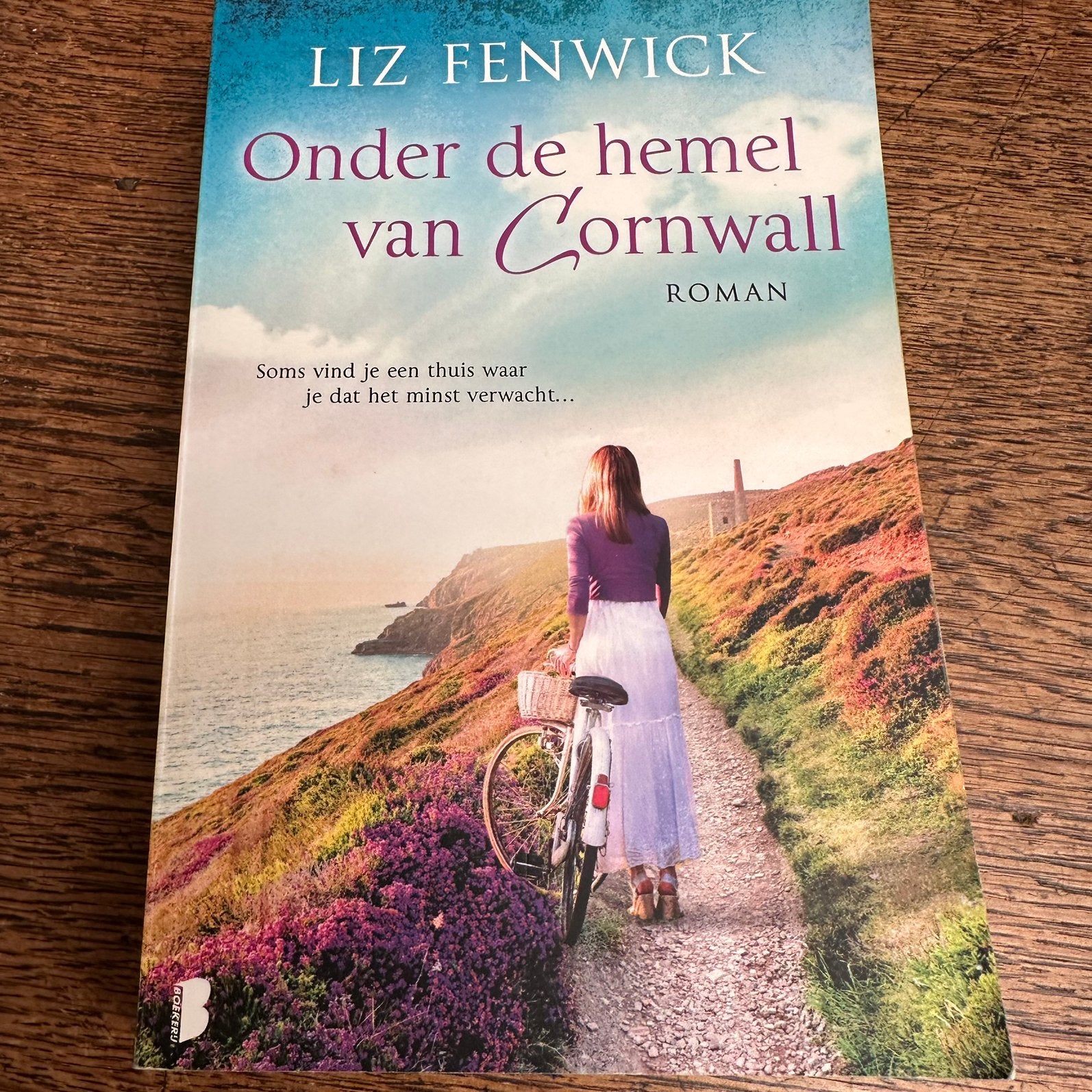 Liz Fenwick: Onder de hemel van Cornwall, Boeken, Ophalen of Verzenden, Zo goed als nieuw