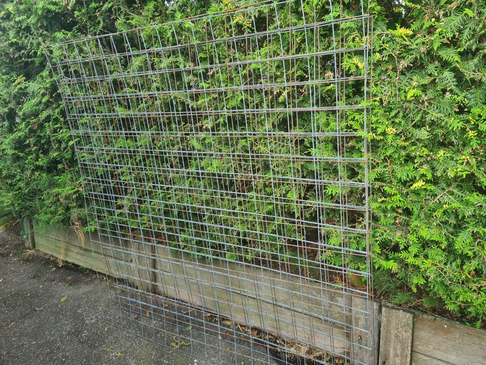 gaasnet 1.8 x 1.8, Ophalen, Gebruikt, Minder dan 10 meter