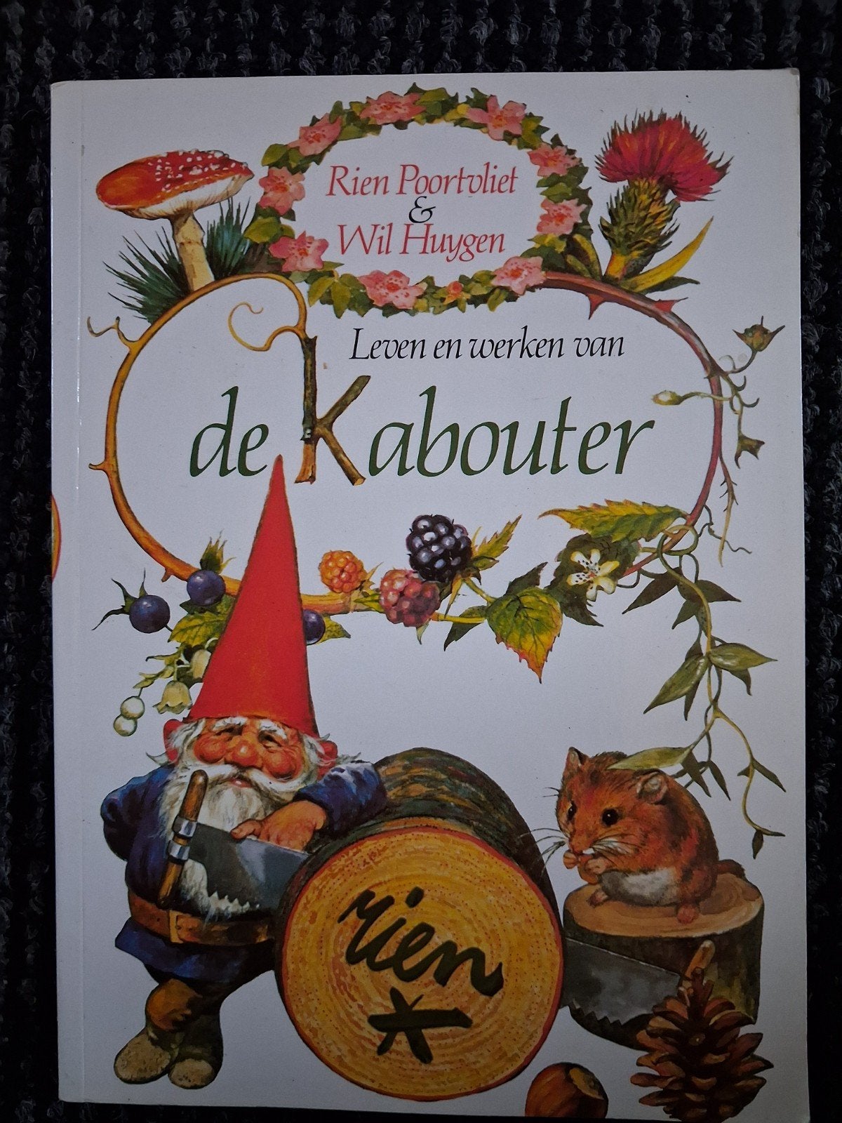 Rien - Leven en werken van de kabouter, Ophalen, Zo goed als nieuw, Rien
