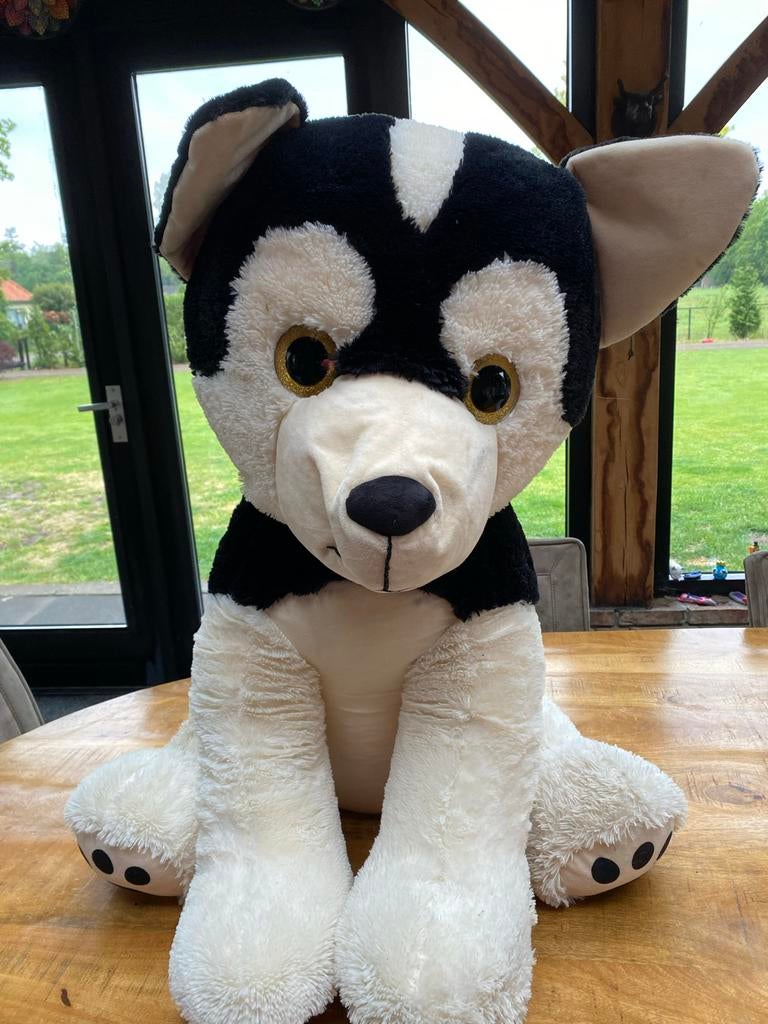 Grote knuffel husky hond, Ophalen, Zwart, Hond, Zo goed als nieuw