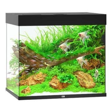 aquarium Lido 200, Ophalen, Juwel, Nieuw, Juwel