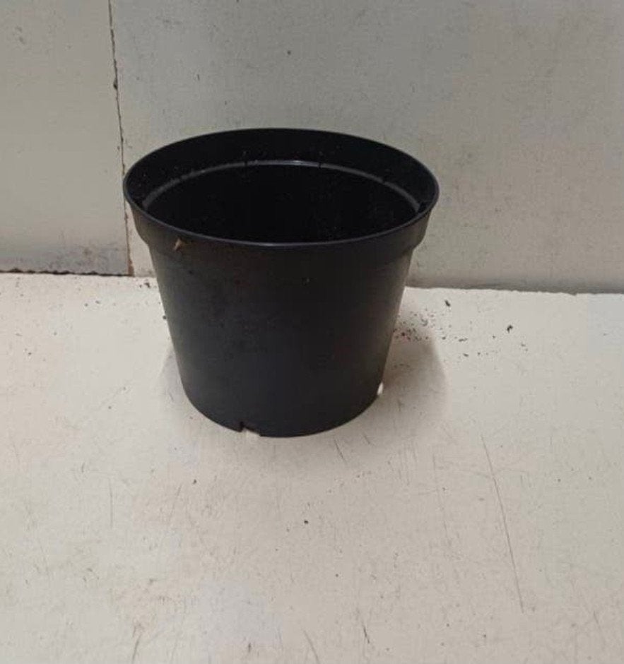 Kweekpotten plantenpotten bloempotten 1,5 liter, Kunststof, Gebruikt, Rond, Ophalen of Verzenden