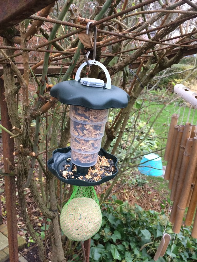 Vogel voerbakje tuin voliere hangend inschuifbare voederbak, Tuin en Terras, Ophalen of Verzenden, Nieuw