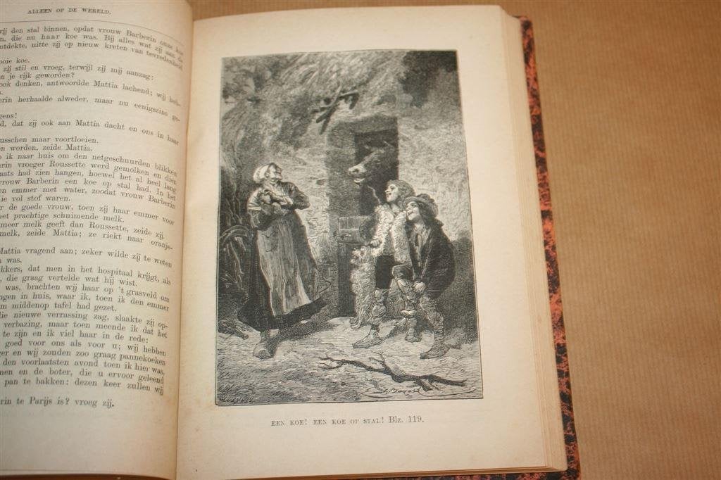 lleen op de wereld 2e deel - Hector Malot - 1882, Antiek en Kunst, Antiek | Boeken en Bijbels, Ophalen of Verzenden