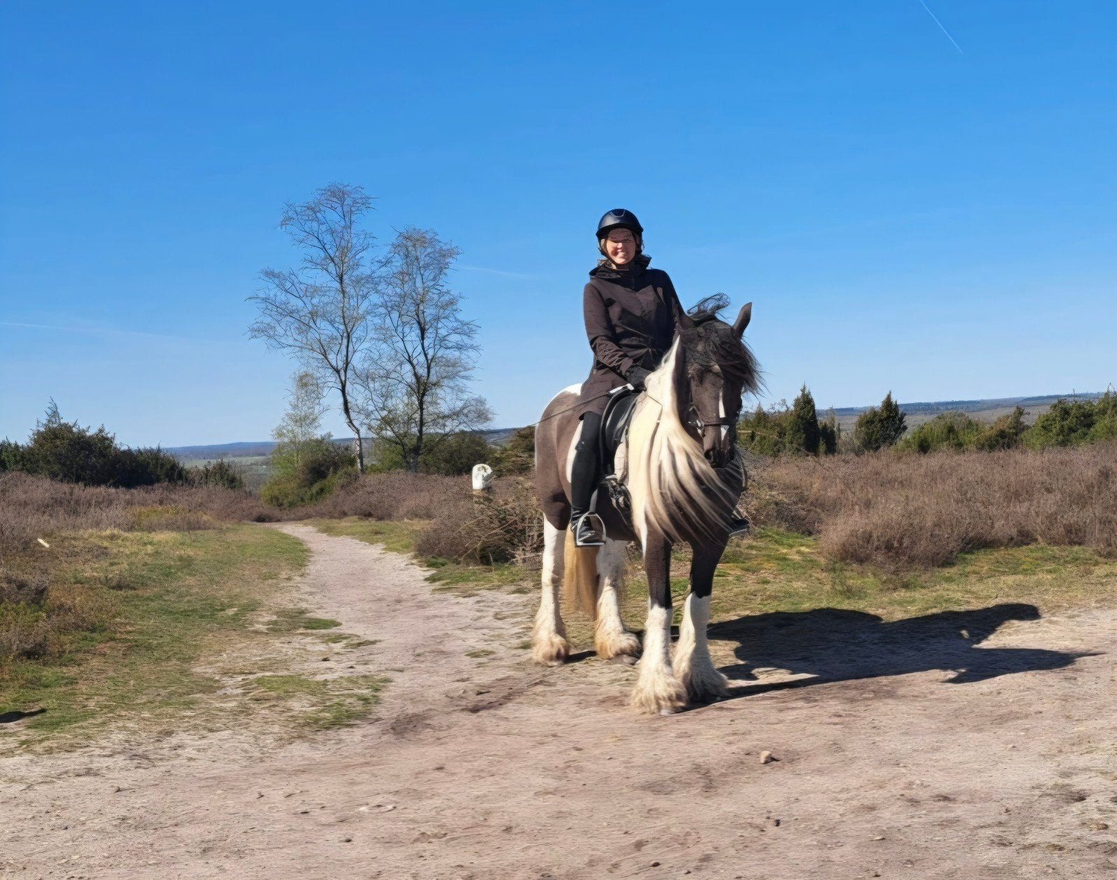 Prachtige lieve Tinkermerrie, Dieren en Toebehoren, Paarden, Merrie, Recreatiepaard