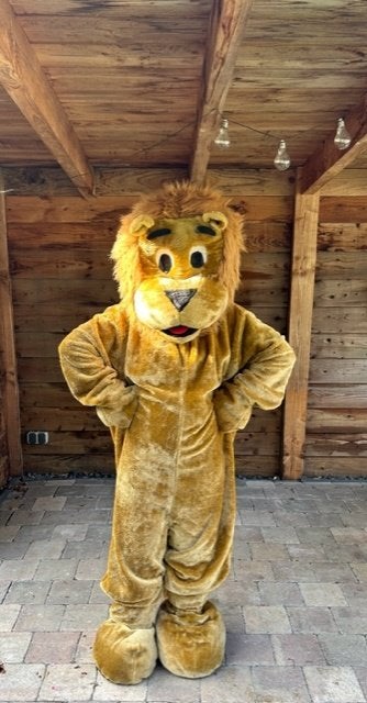 mooi mascotte leeuwen kostuum / pak slechts 25 euro per dag, Hobby en Vrije tijd, Ophalen of Verzenden, Zo goed als nieuw, Overige