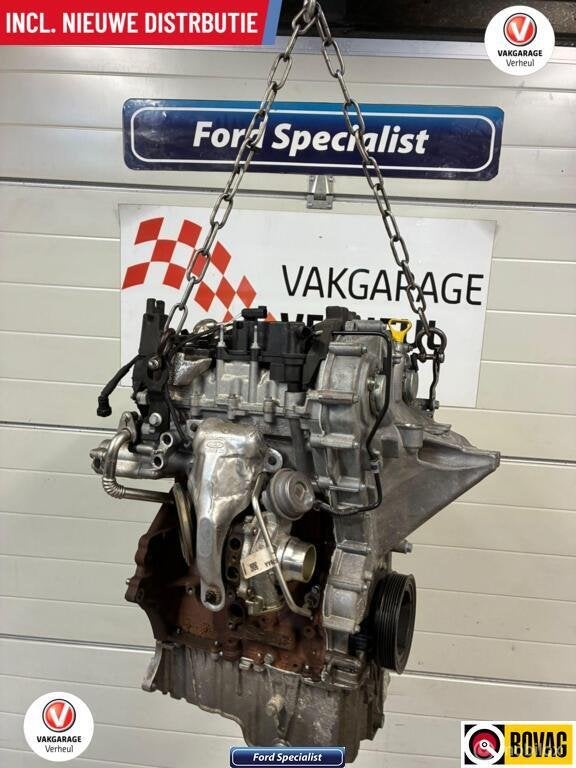 Ford Ecoboost 1.0 Benzine |Motor Gereviseerd|Motorcode B7DA, Ford, Ophalen of Verzenden, Ford