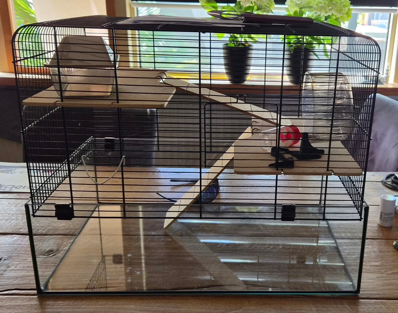 Hamsterkooi, Kooi, Minder dan 75 cm, Zo goed als nieuw, Hamster