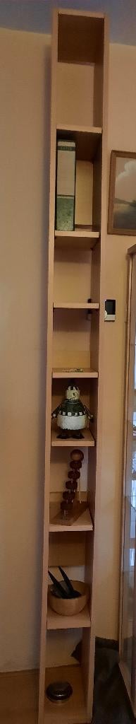 Smalle kast, Ophalen, Met plank(en), Minder dan 50 cm, 200 cm of meer