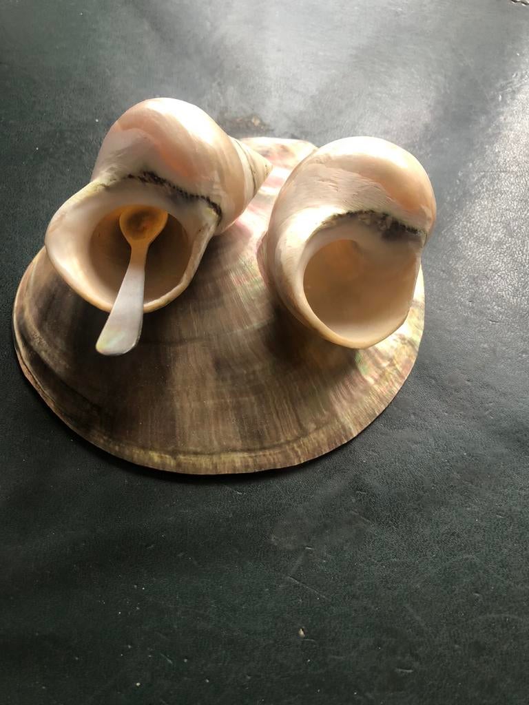 Peper en zoutstel met lepeltje alles van schelpen, Verzamelen, Retro, Ophalen