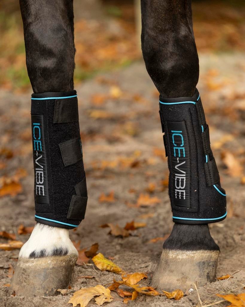 Te huur: Ice Vibe Boots, Ophalen