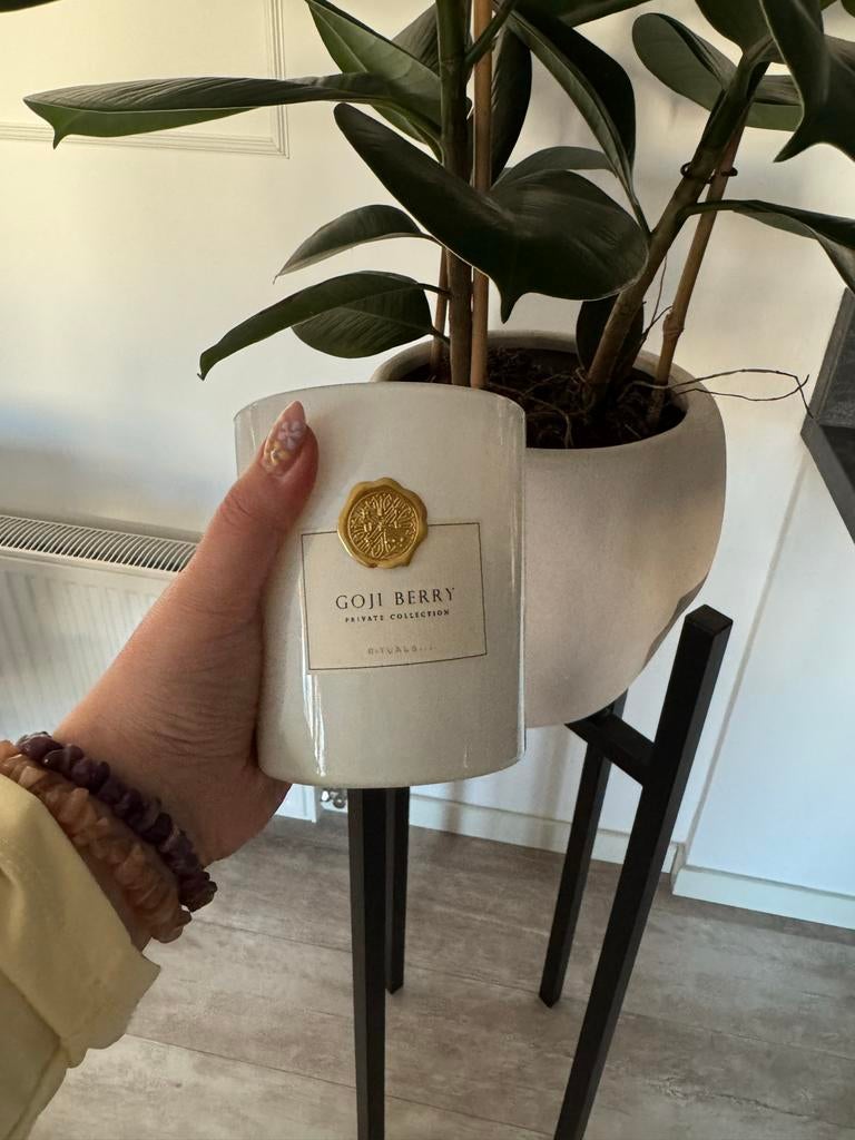 Rituals Goji Berry Geurkaars, Overige materialen, Wit, Ophalen of Verzenden, Zo goed als nieuw