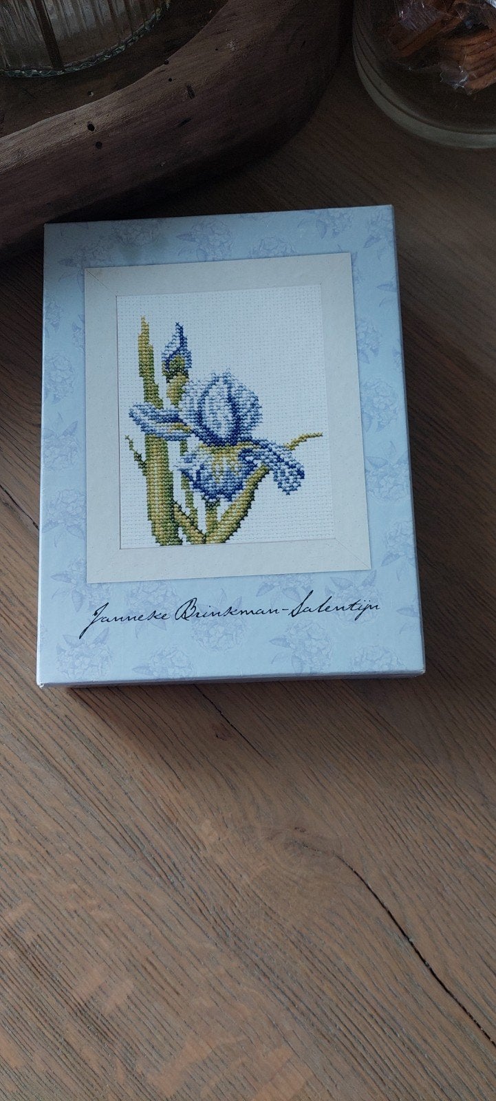BORDUURPAKKETJE LANARTE JANNEKE BRINKMAN-SALENTIJN MET dmc, Hobby en Vrije tijd, Borduren en Borduurmachines, Ophalen of Verzenden