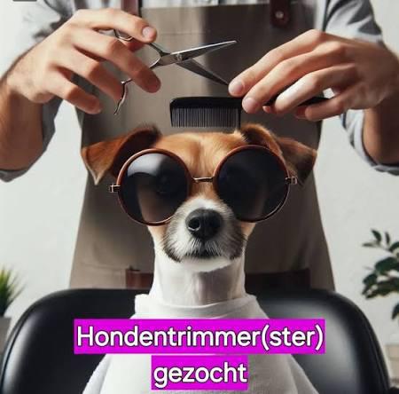 Honden trimster, Ophalen of Verzenden