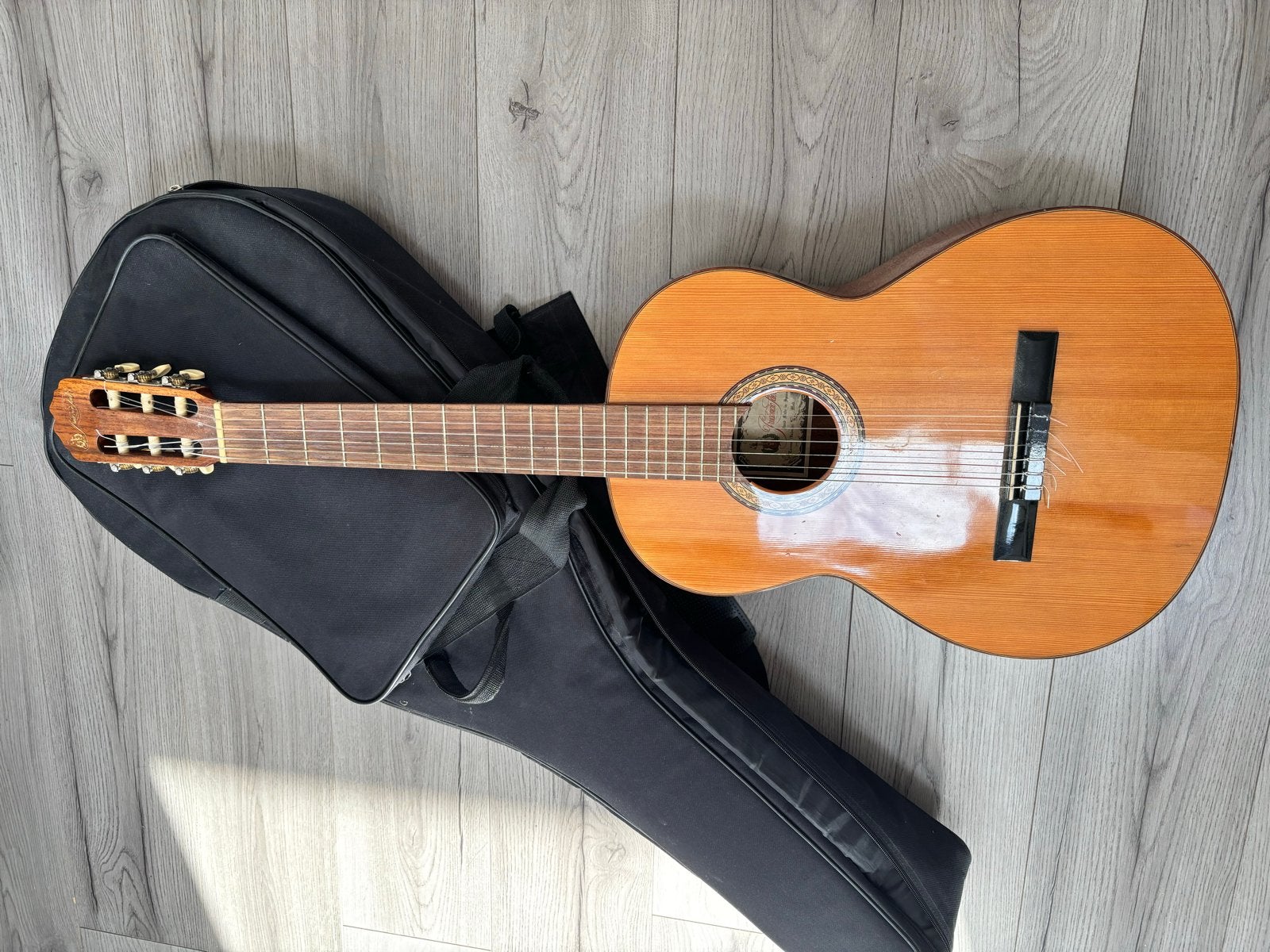 Prachtige Prudencio Saez Spaanse gitaar met hoes, Ophalen, Gebruikt, Klassieke of Spaanse gitaar, Met koffer