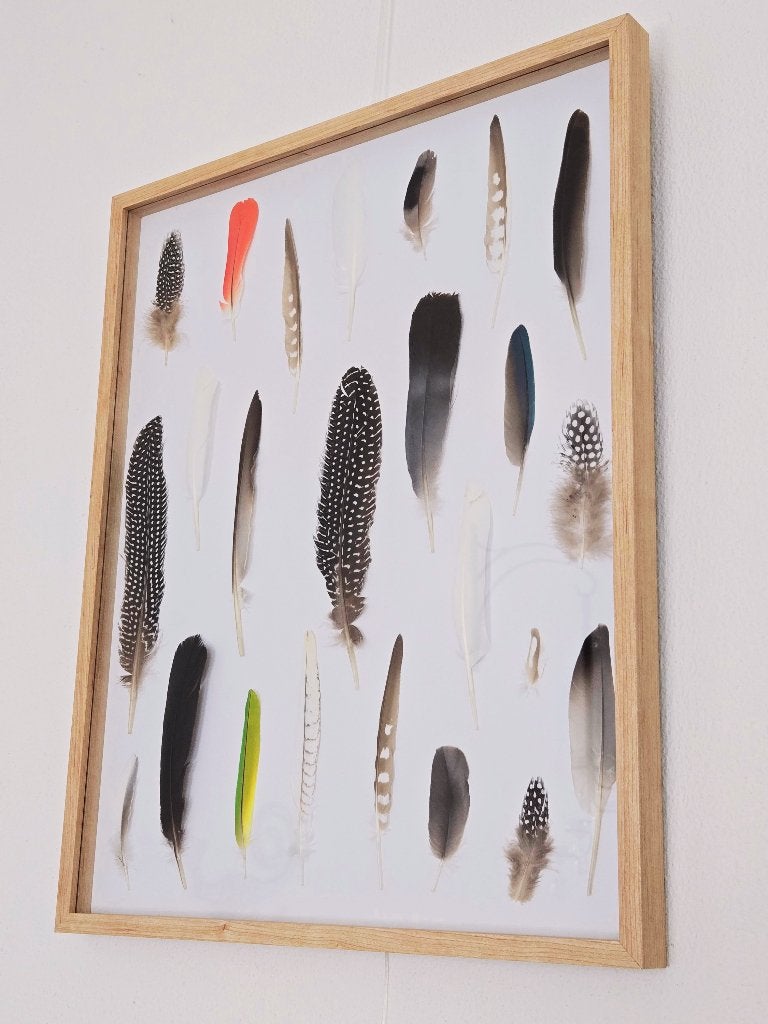 Ingelijste mooie veren, Huis en Inrichting, Woonaccessoires | Wanddecoraties, Boho, Ophalen of Verzenden, Natuurlijk materiaal