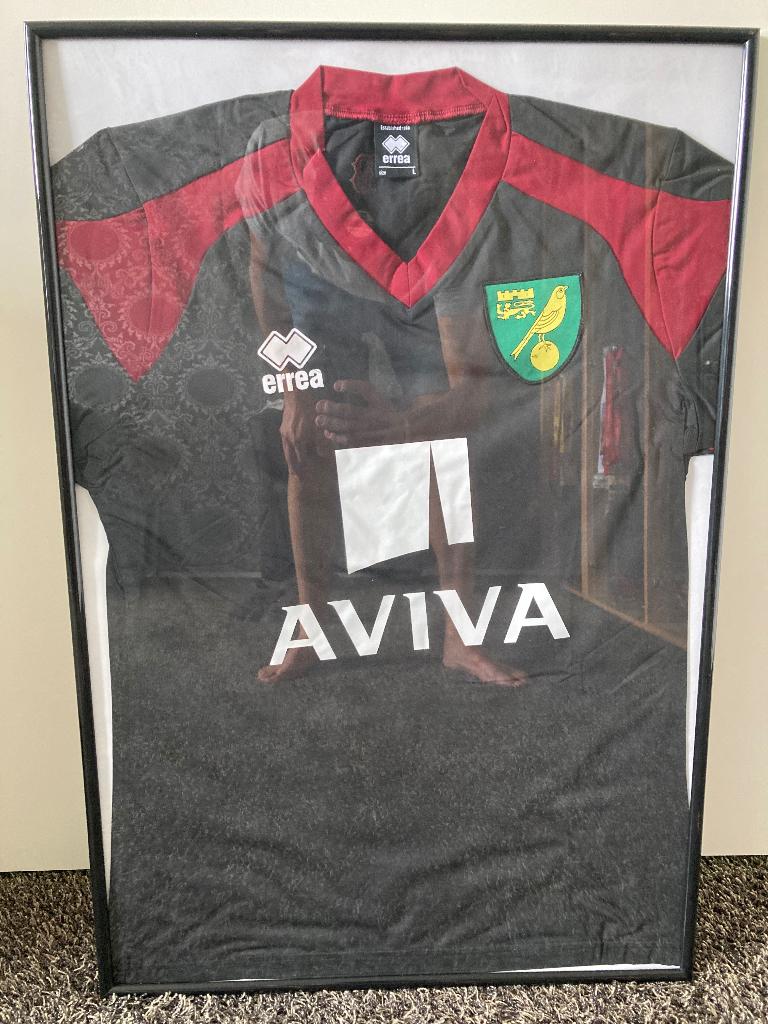 Norwich City trainingsshirt seizoen 2015-2016, Ophalen, Nieuw, Buitenlandse clubs, Shirt