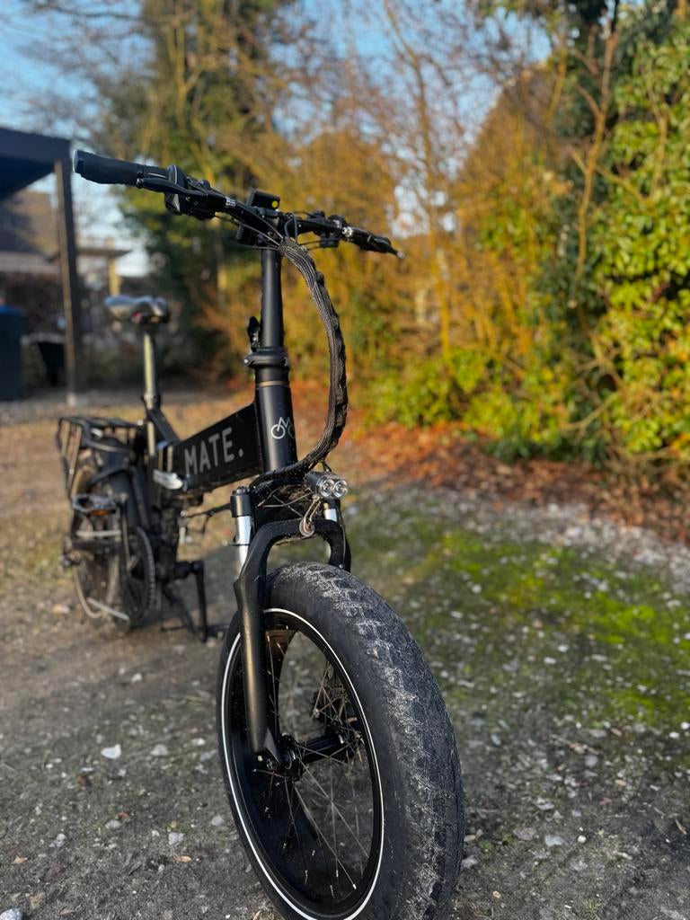 Mate X elektrische fiets, Fietsen en Brommers, Fietsen | Vouwfietsen, Ophalen of Verzenden, Gebruikt, Overige merken