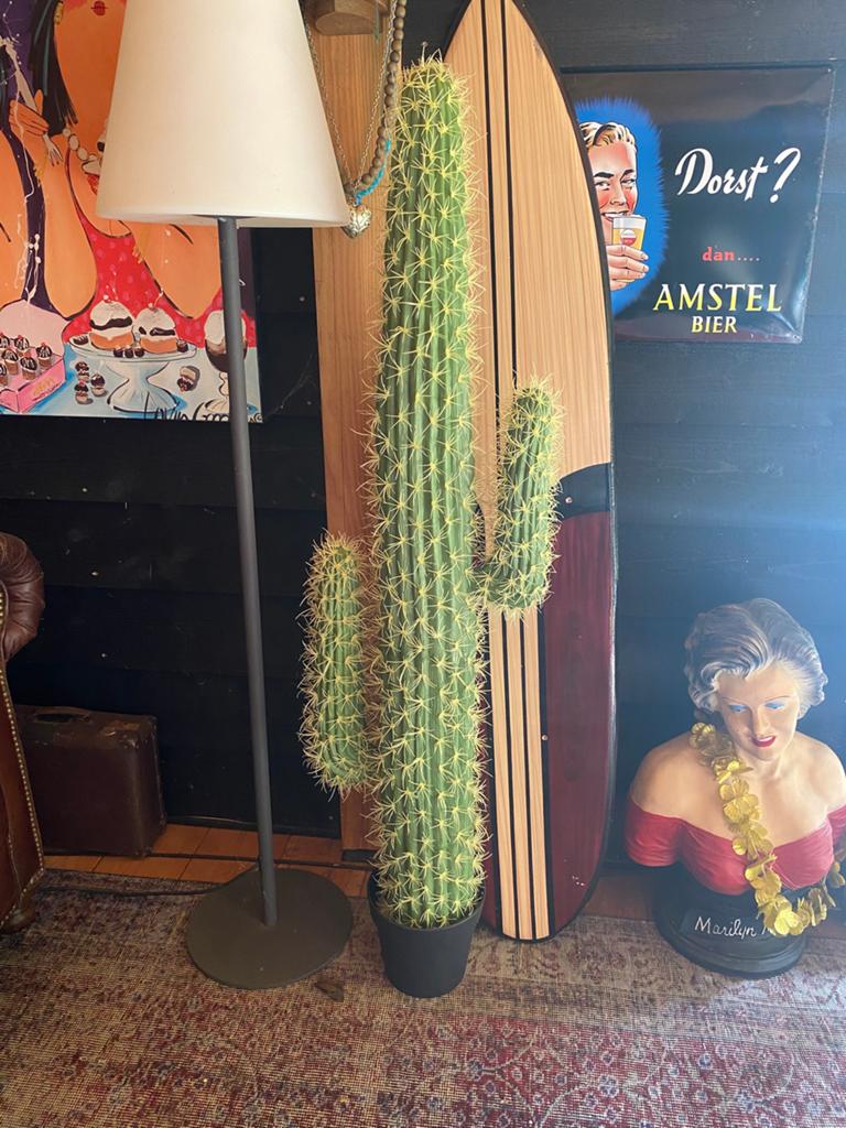 Nep cactus., Ophalen of Verzenden, Zo goed als nieuw