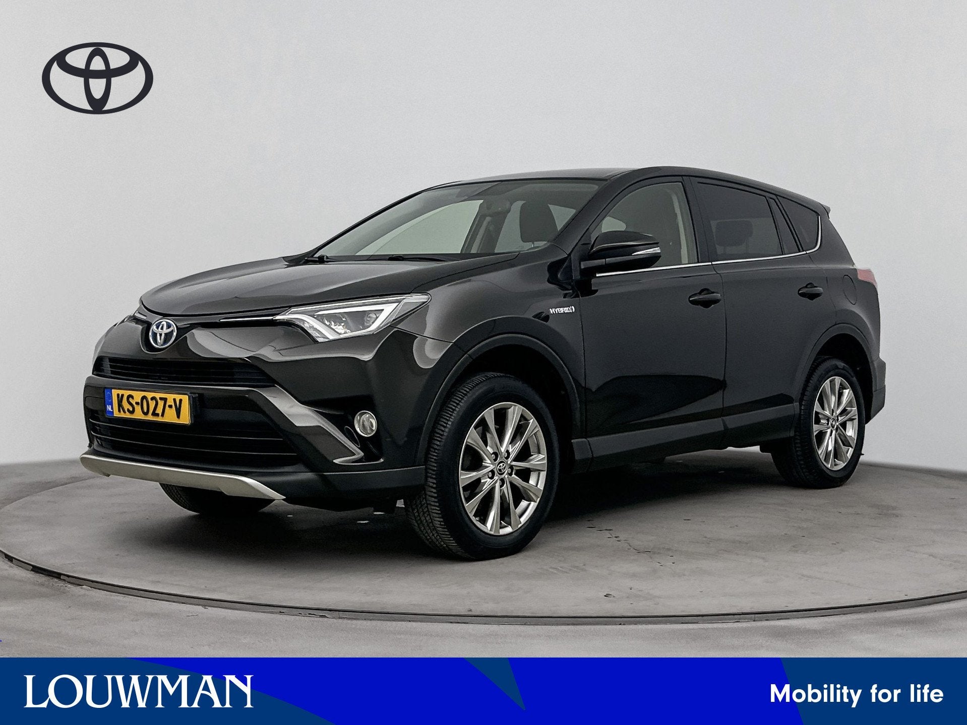 Toyota RAV4 2.5 Hybrid First Edition Limited | Navi | Trekha