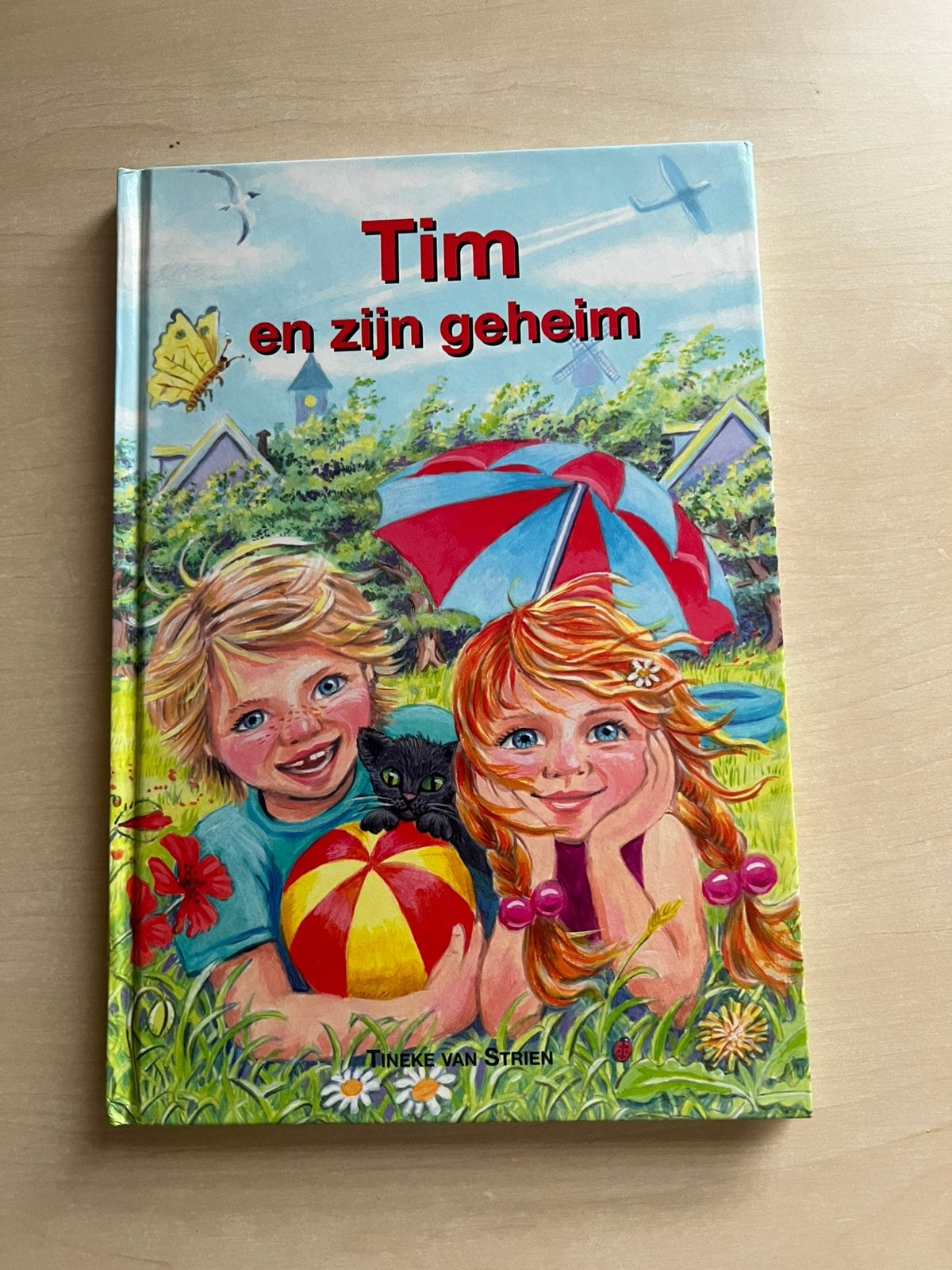Tim en zijn geheim, Ophalen of Verzenden, Fictie algemeen