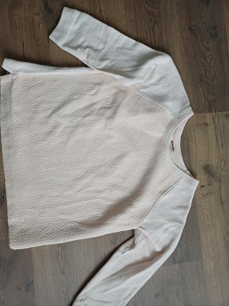 Trui zomer maat xl Gustav  zalmrose, Kleding | Dames, Truien en Vesten, Ophalen of Verzenden, Zo goed als nieuw, Maat 46/48 (XL) of groter