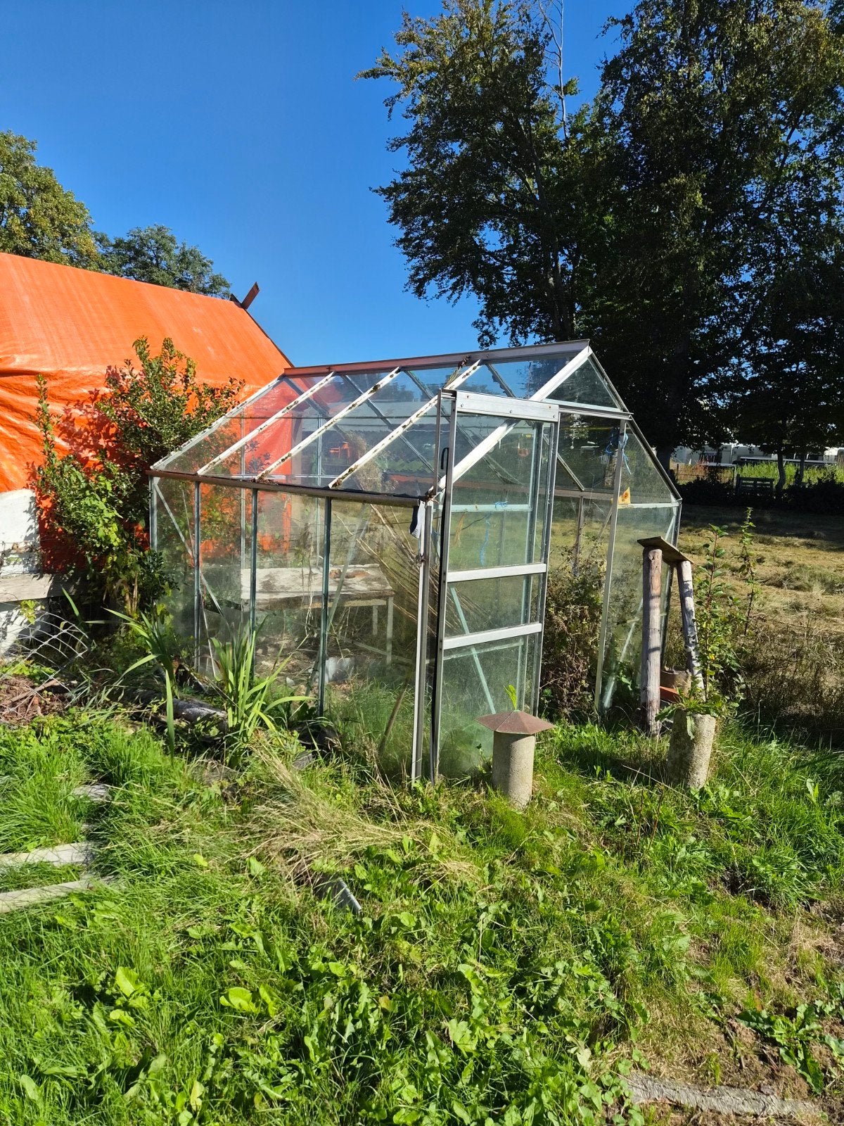 Glazen oude Kweekkas - Ideaal voor Tuinliefhebbers, Tuin en Terras, Ophalen, Gebruikt, Kweekkas, Glas
