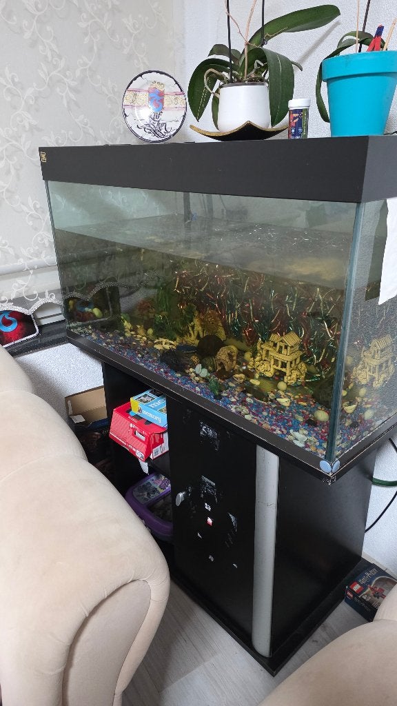 Compleet aquarium, Dieren en Toebehoren, Ophalen, Gebruikt, Gevuld zoetwateraquarium