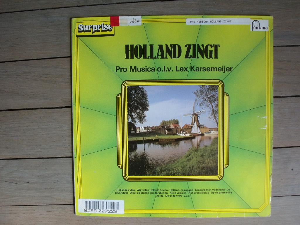 Koorvereniging Pro Musica - Holland zingt, Ophalen of Verzenden, Gebruikt, 12 inch, Overige genres