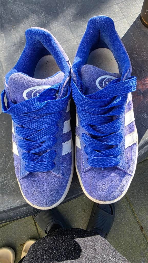 Adidas campus, Ophalen of Verzenden, Gedragen