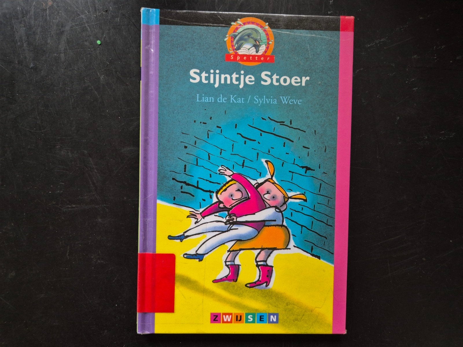 Stijntje Stoer - Kinderboek van Lian de Kat, Ophalen of Verzenden