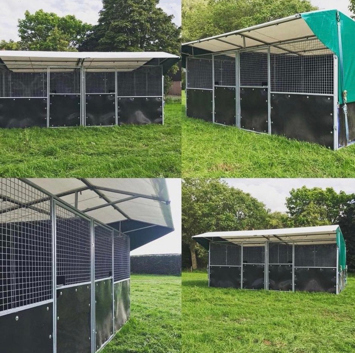 Stal tent overkapping te koop, Weidegang, 2 of 3 paarden of pony's