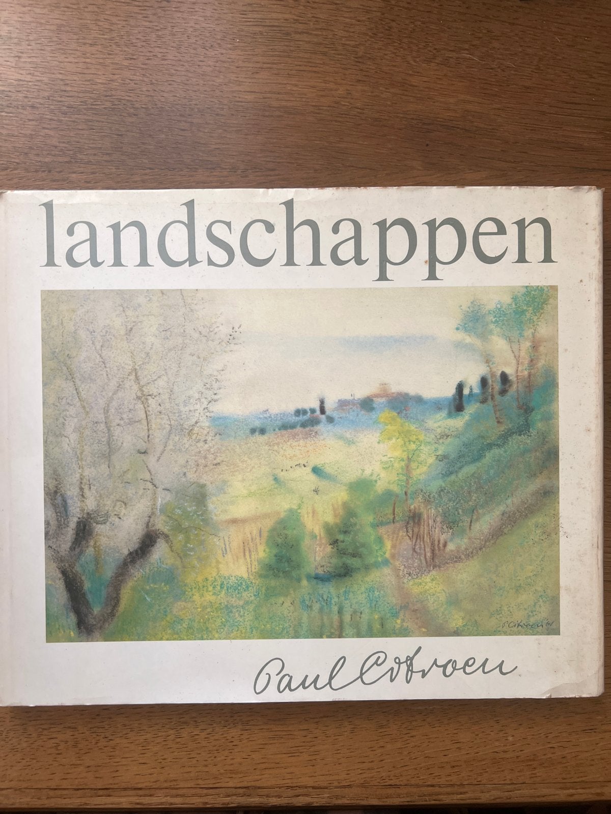 Landschappen - Paul Citroen (Kunstboek), Ophalen of Verzenden, Gelezen, Schilder- en Tekenkunst